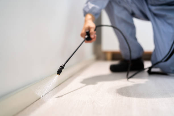 Licensed Rodent Control service in Hilton, NY - Nex Pest Control