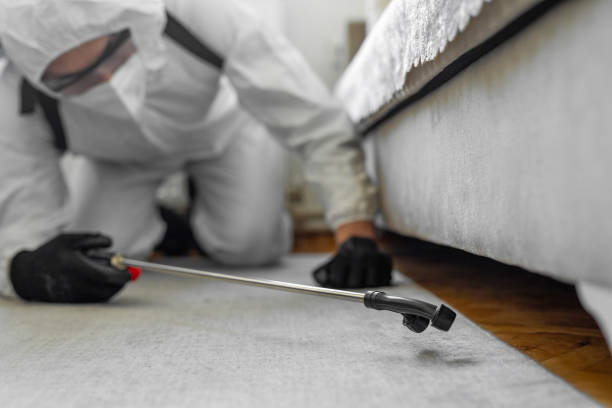 Professional Rodent Control technician working in Hilton, NY