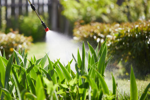 24/7 Emergency Rodent Control experts in Hilton, NY