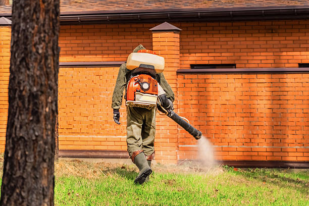 Trusted Bed Bug Control service in Hilton, NY - Nex Pest Control